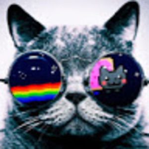 Meet your Posher, Luca